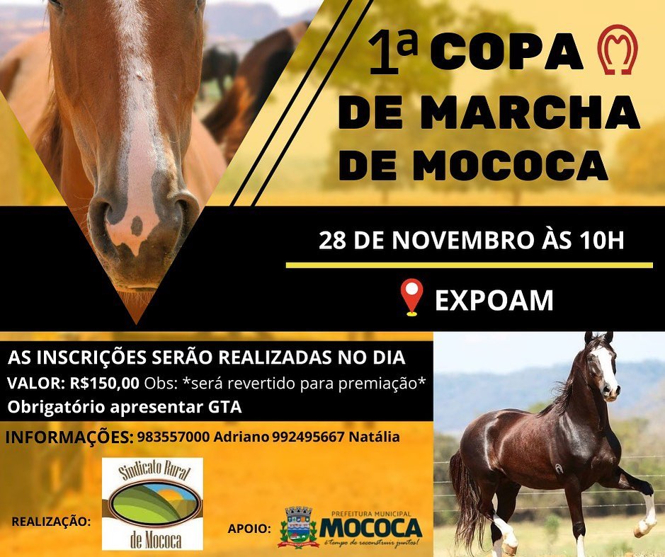 Horas Copa De Marcha De Mococa